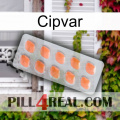 Cipvar 26